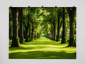 Sunlit Tree and Garden Path printed polyester backdrop, shown at244 x183cm with straight-cut unhemmed edges and wall clips. Flat printed scenery; accessories not included.