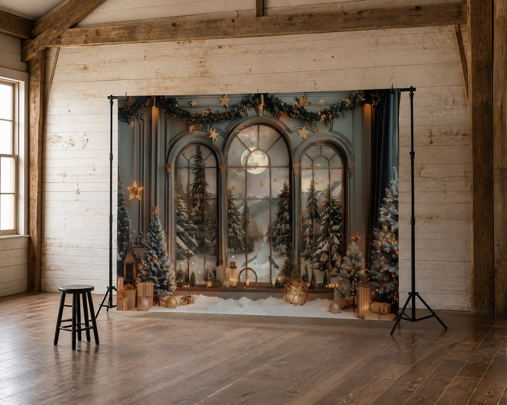 Christmas Snowy Window and Forest Backdrop scene 2