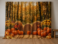 Autumn harvest pumpkins hay bales photography backdrop in family studio