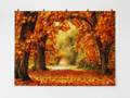 Golden Autumn Woodland Path Printed Backdrop — complete flat printed design; accessories not included