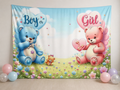 Boy or Girl teddy bear fabric photography backdrop scene 1