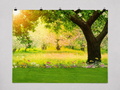 Spring Garden Tree and Lawn printed polyester backdrop, shown at244 x183cm with straight-cut unhemmed edges and wall clips. Flat printed scenery; accessories not included.