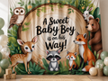 Woodland Baby Boy Shower fabric photography backdrop scene 1